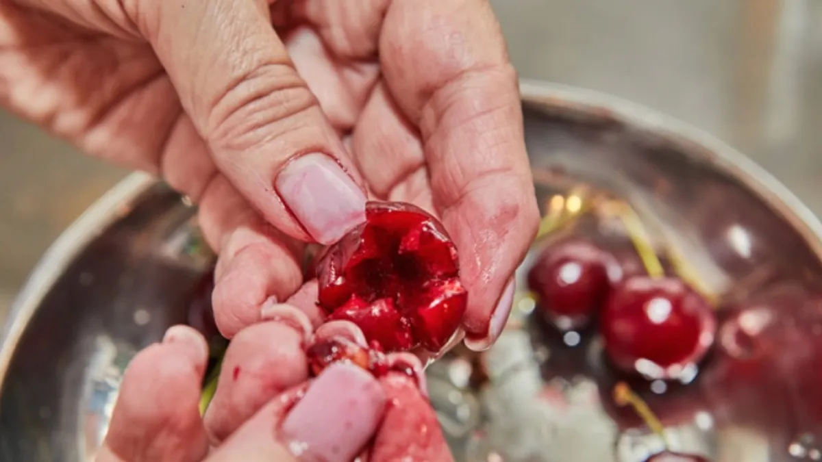 A hand holding an opened tart cherry over a metal bowl